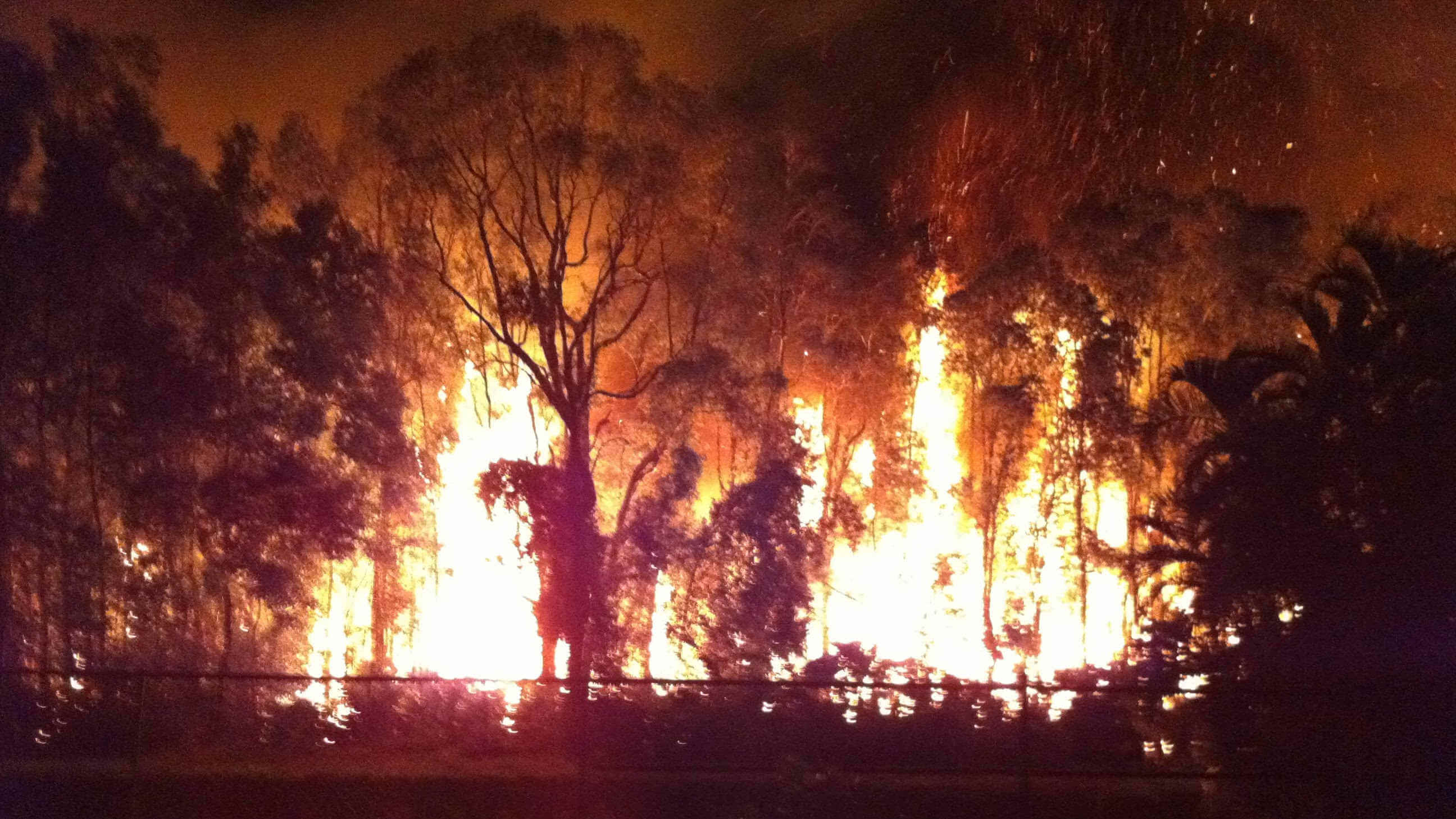 fort myeres brush fire april 2011